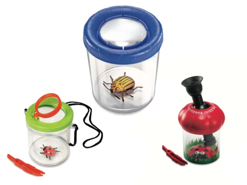 Банки для насекомых