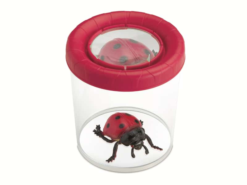 Большая банка-стакан для наблюдения с линзой 3X и жуком, NAVIR - 8027_R