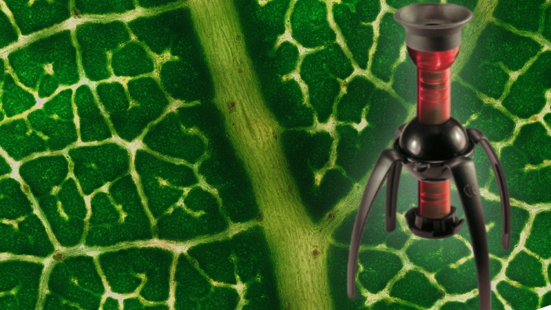 Микроскопы